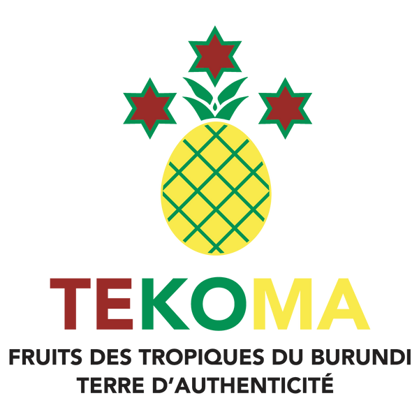TEKOMA SUISSE AG